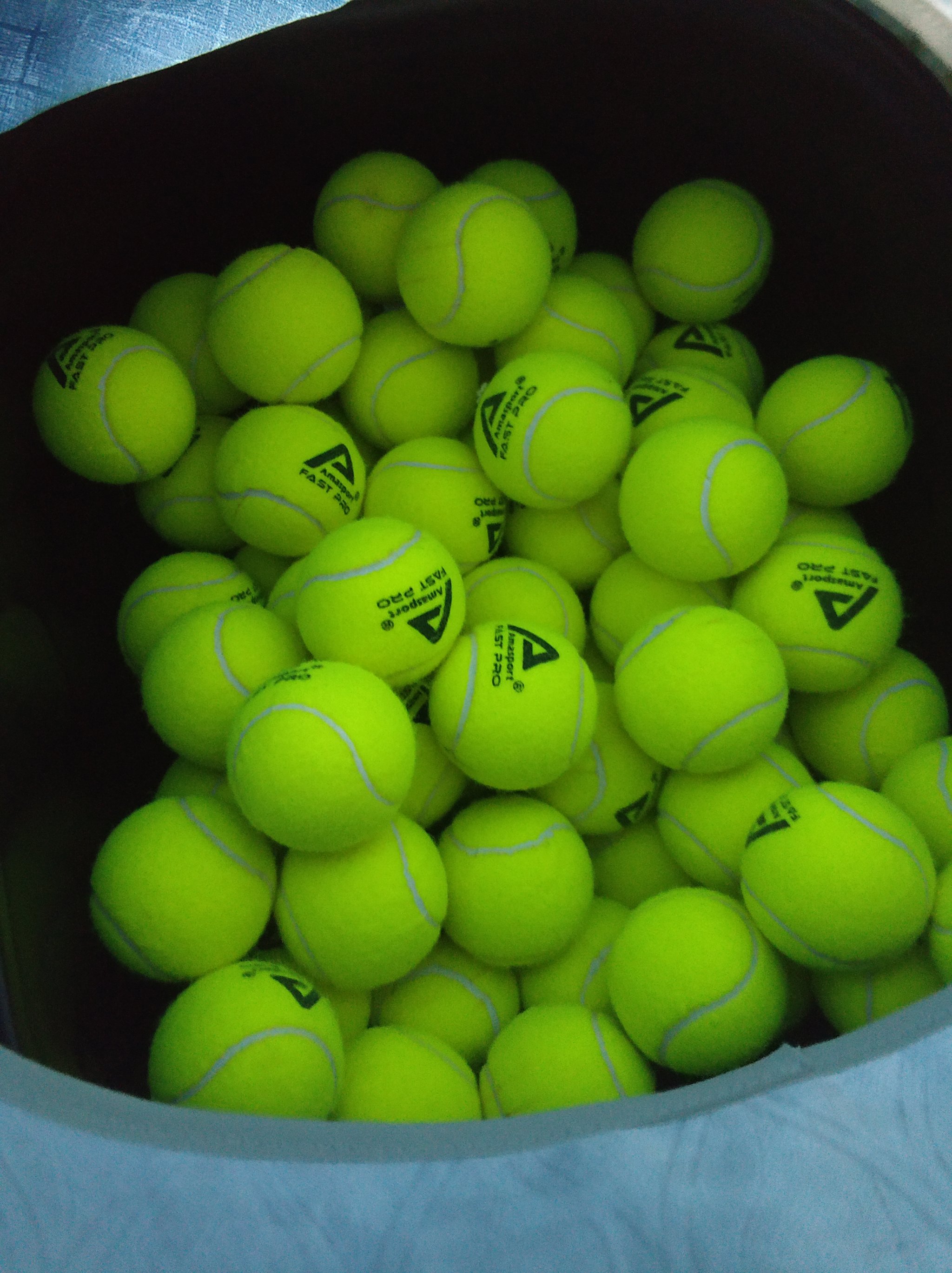 确认于本季 确认于本季